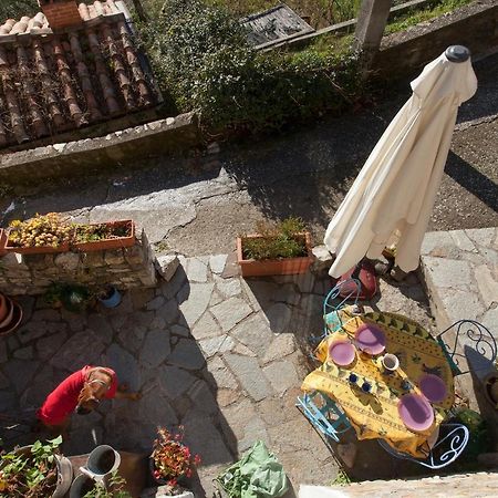 Vila Chezcatherine Sarzana Exteriér fotografie
