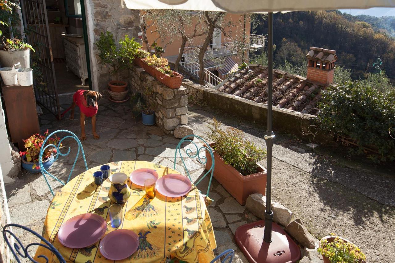 Vila Chezcatherine Sarzana Exteriér fotografie
