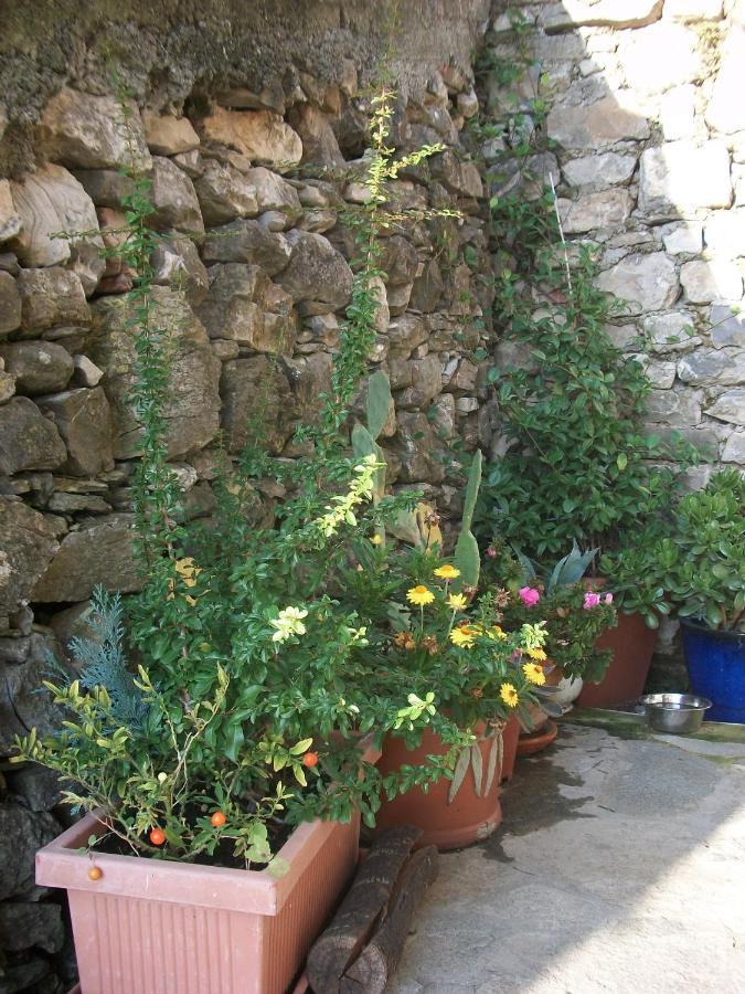 Vila Chezcatherine Sarzana Exteriér fotografie